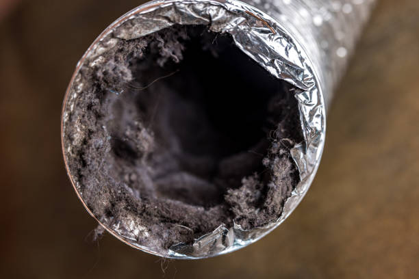 Best Affordable Air Duct Cleaning  in Palacios, TX