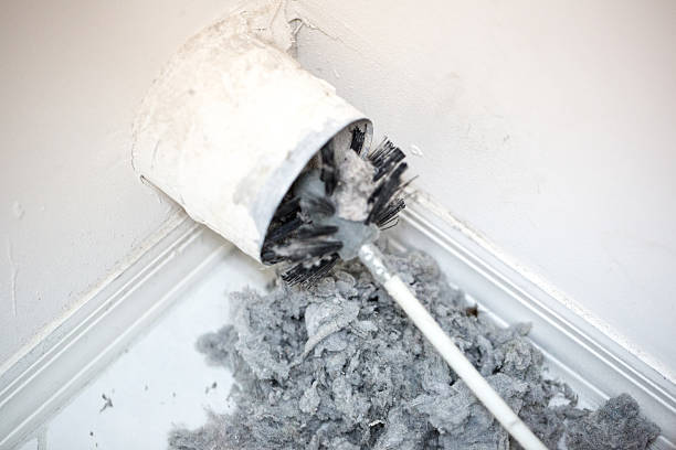 Best Residential Air Duct Cleaning  in Palacios, TX